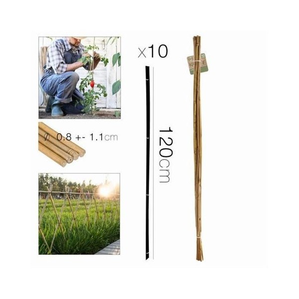 PACK 10 VARILLAS 120CM BAMBU