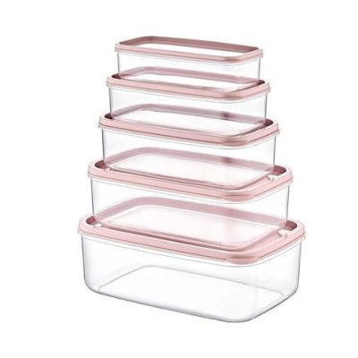 SET 5 TUPPER RECTANGULARES ROSA 330-530-850-1300-2100ML