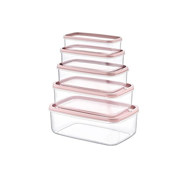 SET 5 TUPPER RECTANGULARES ROSA 330-530-850-1300-2100ML