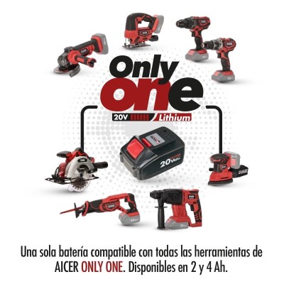 CARGADOR DOBLE 20V ONLY ONE AICER